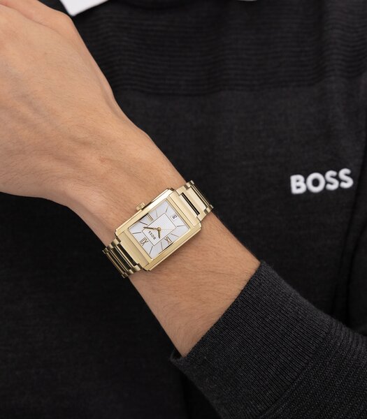 Horloge BOSS BLACK PRINCIPLE DRESS Heren 1514280 Analoog Behuizing MINERAAL Zilverkleurig Bracelette Staal Geelgoudkleurig Etanchéiteiten 3BAR