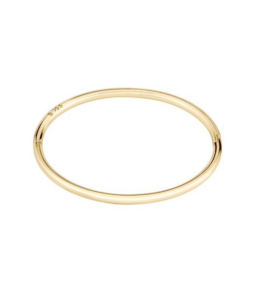 Bijou BOSS JEWELS LIVE 1580686 Femme