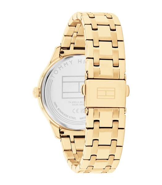 Horloge TOMMY HILFIGER GIANNA (38MM) Dames 1782751 Analoog Behuizing MINERAAL Geelgoud Bracelette Staal Geelgoudkleurig Etanchéiteiten 3BAR