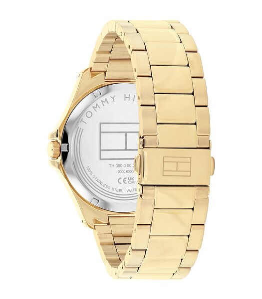 Montre TOMMY HILFIGER BRUCE Homme 1792241 Analogue Cadran MINERAL Noir Bracelet Acier Or jaune Etanchéité 3BAR