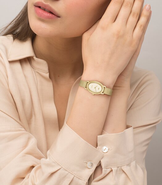 Montre LACOSTE CLASSIC ELEGANCE Femme 2001453 Analogue Cadran MINERAL Or jaune Bracelet Acier Or jaune Etanchéité 3BAR