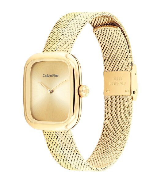 Montre CALVIN KLEIN WATCHES CK ADORE Femme 25100099 Analogue Cadran MINERAL Or jaune Bracelet Acier Or jaune Etanchéité 3BAR