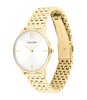 Horloge CALVIN KLEIN WATCHES LUXE Dames 25100172 Analoog Behuizing MINERAAL Wit Bracelette Staal Geelgoudkleurig Etanchéiteiten 3BAR