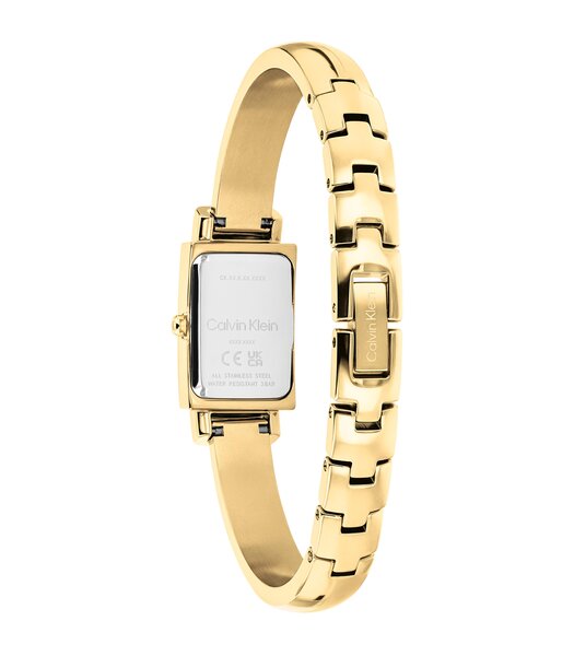 Horloge CALVIN KLEIN WATCHES MODERNE Dames 25100184