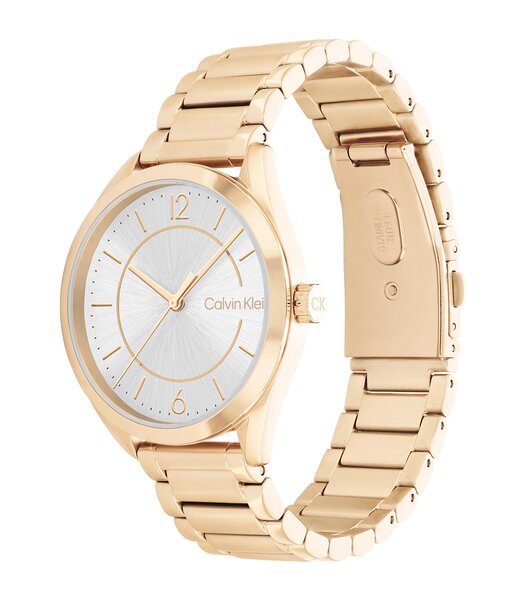 Horloge CALVIN KLEIN WATCHES ENTICE Dames 25200191 Analoog Behuizing MINERAAL Grijs Bracelette Staal Geelgoudkleurig Boucle déployante Etanchéiteiten