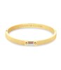 Jeweel TOMMY HILFIGER JEWELS STRIPES 2781048 Dames