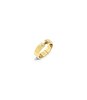 Jeweel TOMMY HILFIGER JEWELS STRIPES 2781052C Dames