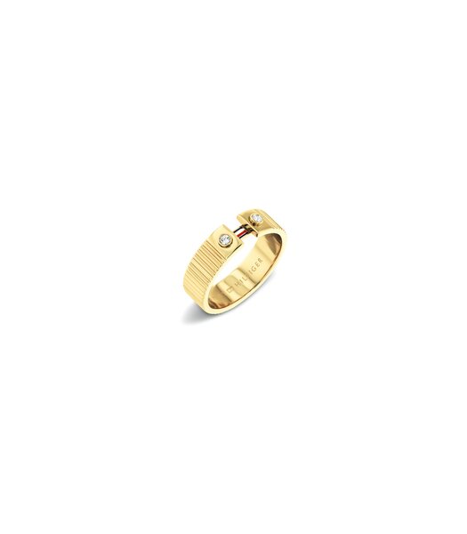 Jeweel TOMMY HILFIGER JEWELS STRIPES 2781052D Dames