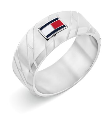 Jeweel TOMMY HILFIGER JEWELS LARS 2790621G Heren