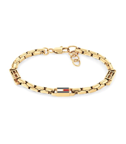 Jeweel TOMMY HILFIGER JEWELS 3D FLAG METAL 2790675 Heren
