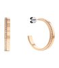Jeweel CALVIN KLEIN JEWELRY EARRINGS 35000165