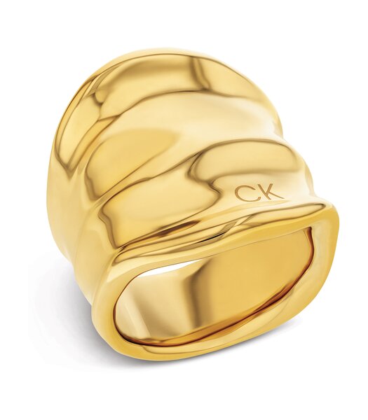 Jeweel CALVIN KLEIN JEWELRY ELEMENTAL 35000646E Dames