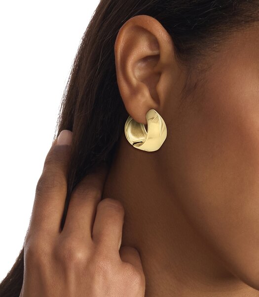 Jeweel CALVIN KLEIN JEWELRY SCULPTED 35000820 Dames