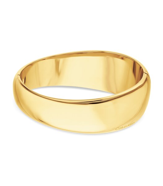 Jeweel CALVIN KLEIN JEWELRY MODERNE PURITY 35000830 Dames