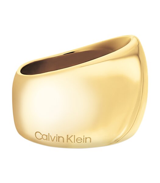 Jeweel CALVIN KLEIN JEWELRY MODERNE PURITY 35000834D Dames